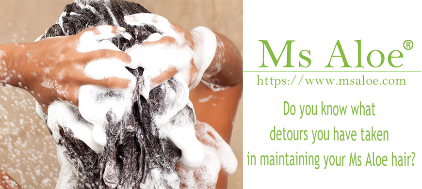 Do you know what detours you have taken in maintaining your Ms Aloe hair